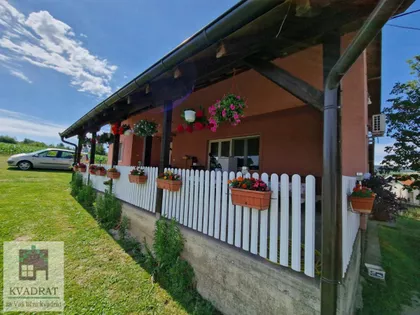 Kršna Glava | 4zida.rs