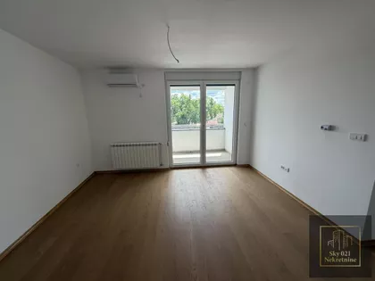Salajka | 4zida.rs