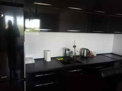 Branka Bajića | 4zida.rs