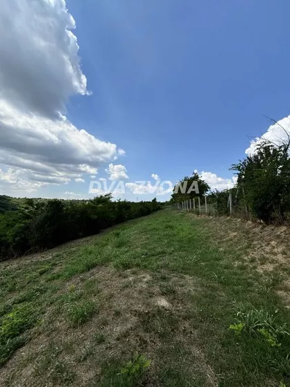 Čortanovci | 4zida.rs