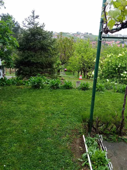 Sremska Kamenica | 4zida.rs