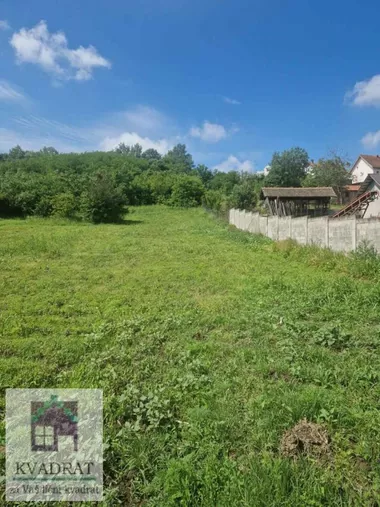 Barič