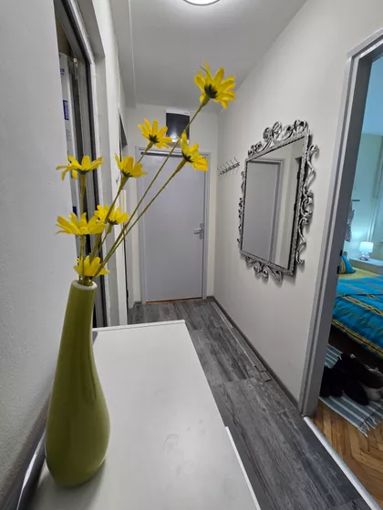 Svetozara Markovića 101A | 4zida.rs