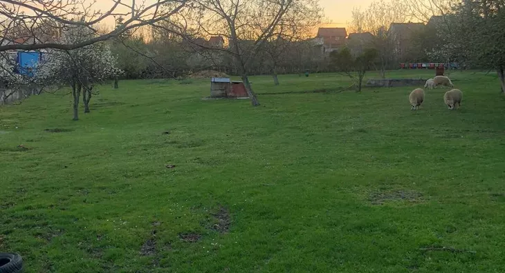 Poljoprivredno zemljište | 4zida