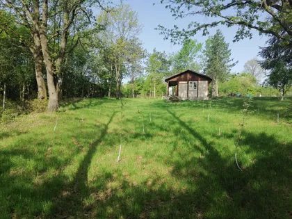 Veliki Borak | 4zida.rs