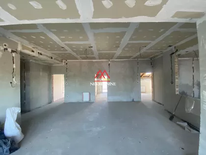Vase Pelagića | 4zida.rs