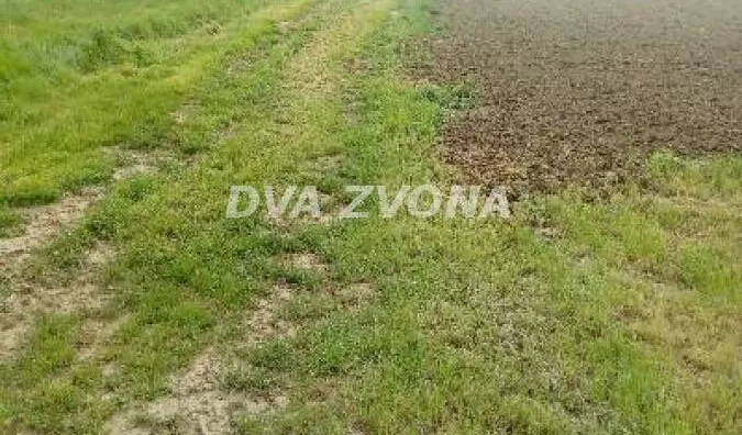 Plac | 4zida
