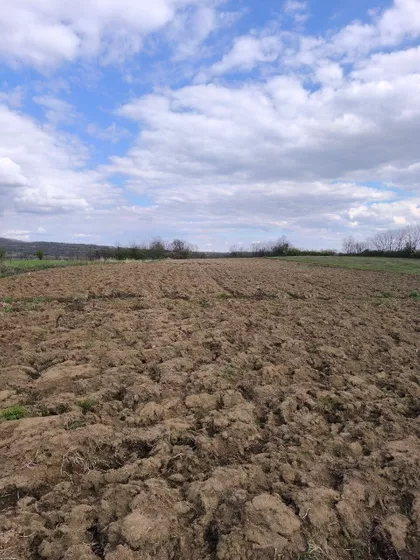 Kosmajska | 4zida.rs