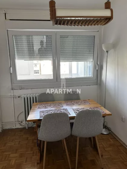 Dr Ivana Ribara | 4zida.rs