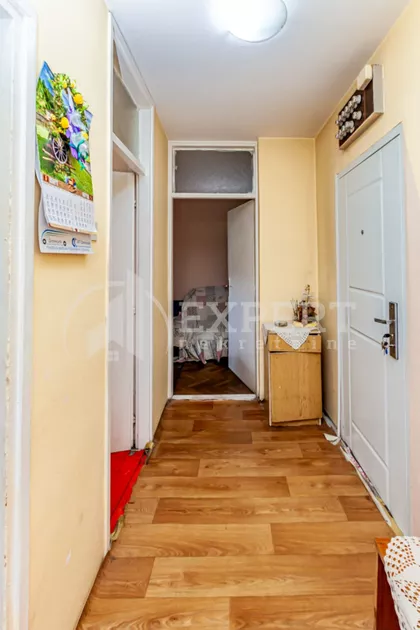 Bulevar dr Zorana | 4zida.rs