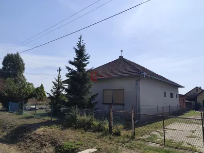 Bački Vinogradi | 4zida.rs