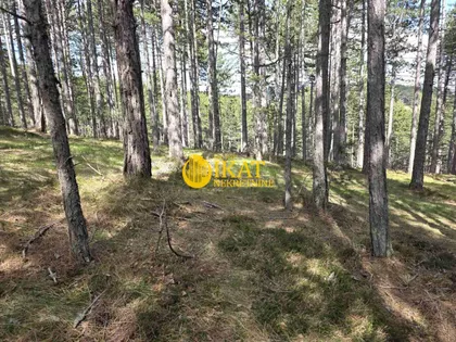 Kaluđerske Bare | 4zida.rs