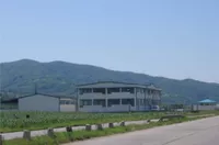 Hala | 4zida