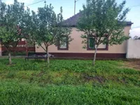 Gradske lokacije, Žitište | 4zida.rs