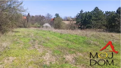 Čortanovci | 4zida.rs