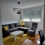 Telep, Gradske lokacije, Novi Sad | 4zida.rs | 4zida.rs