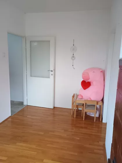 Zaplanjska | 4zida.rs