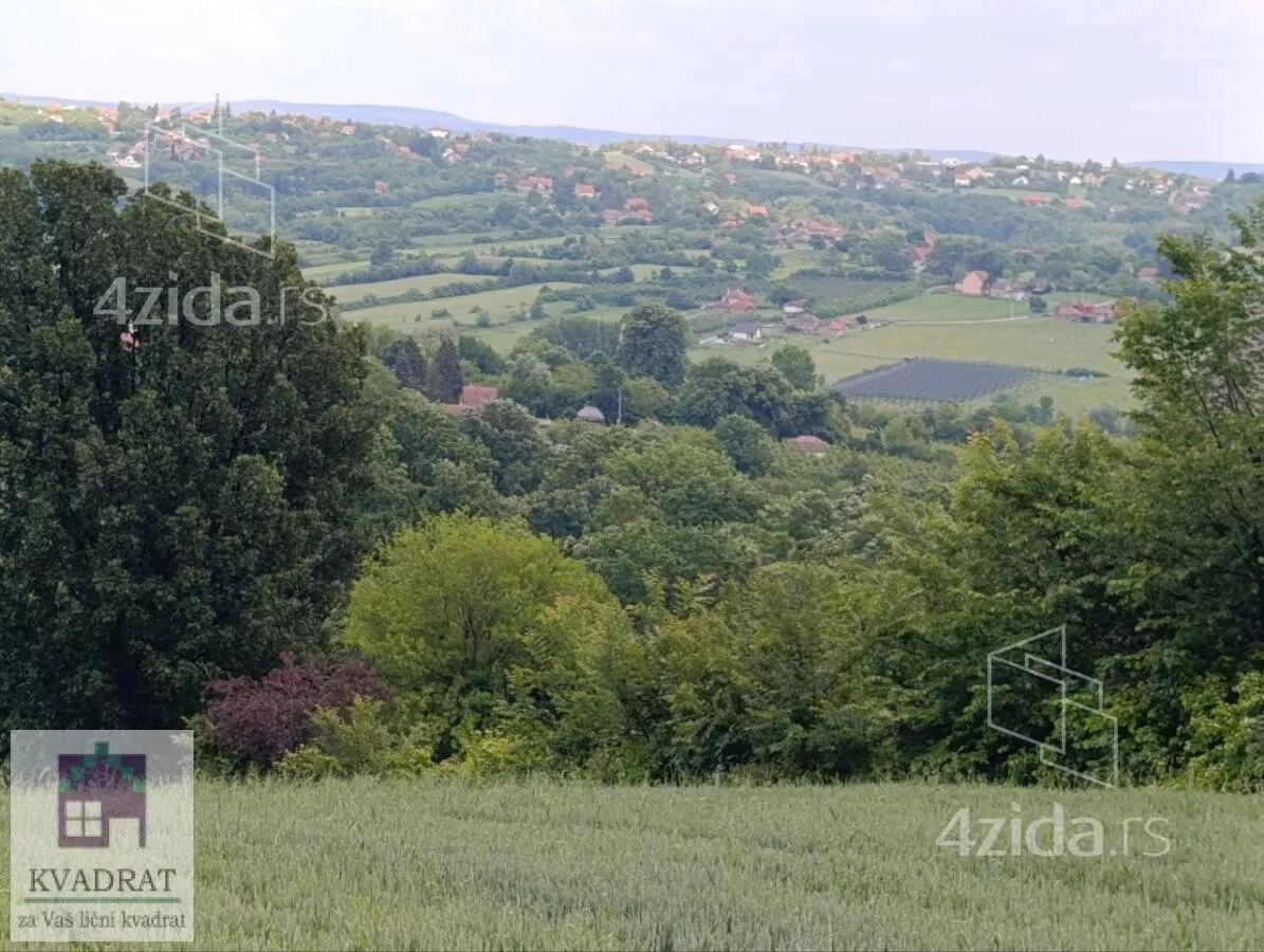 Plac | 4zida