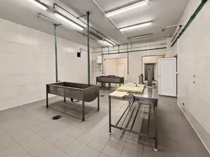 Bavaništanski put | 4zida.rs