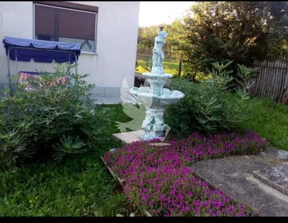 Koraćica | 4zida.rs