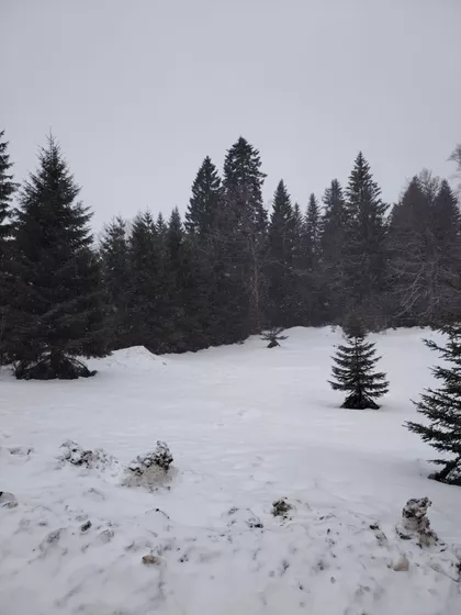 Mitrovac | 4zida.rs