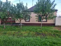 Srpski Itebej, Okolne lokacije, Žitište | 4zida.rs