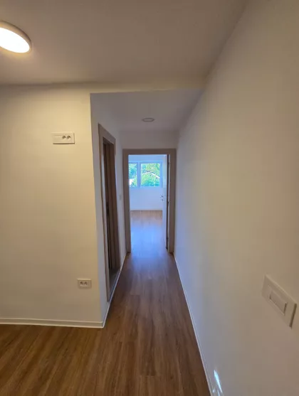 Mikice Lesjaka 50 | 4zida.rs