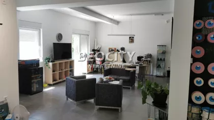 Majora Zorana Radosavljevića | 4zida.rs