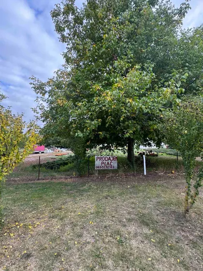 Barska 42 | 4zida.rs