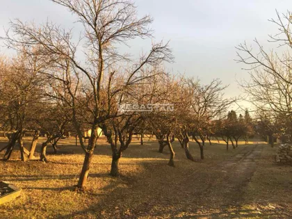 Zlatiborska | 4zida.rs