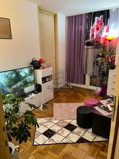 Bulevar Arsenija Čarnojevića | 4zida.rs