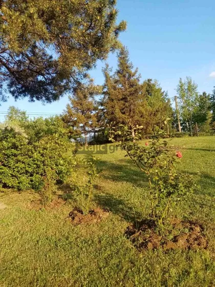 Crmužnik | 4zida.rs