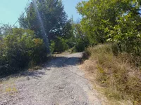 Bocke, Sremska Kamenica, Gradske lokacije, Novi Sad | 4zida.rs