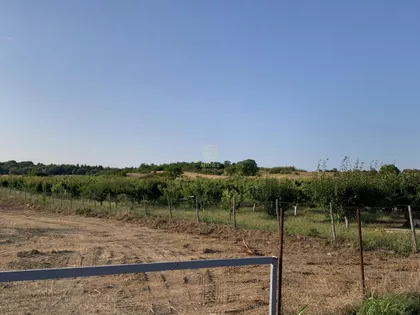 Aleksandra Bugarskog | 4zida.rs