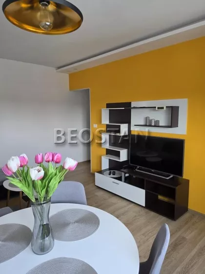 Magistratski Trg | 4zida.rs