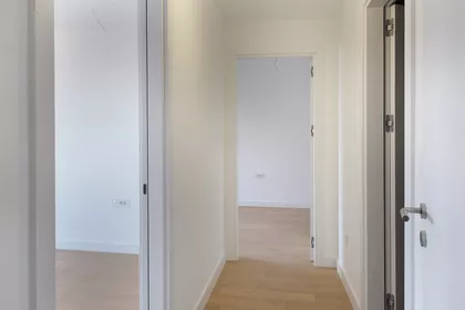 JOVE ILICA | 4zida.rs