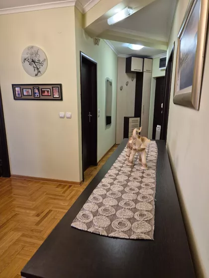 Svetozara Markovića | 4zida.rs