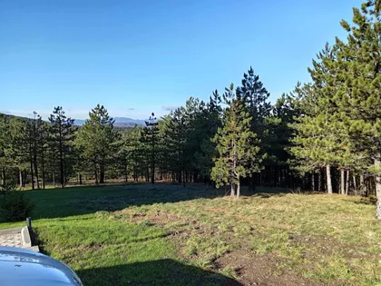 Belog Narcisa 7 | 4zida.rs