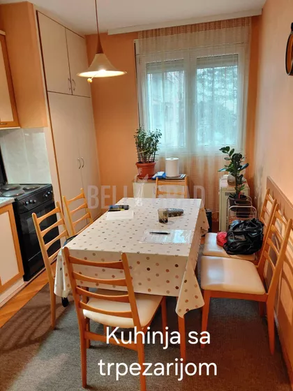 Dr Nika Miljanića | 4zida.rs