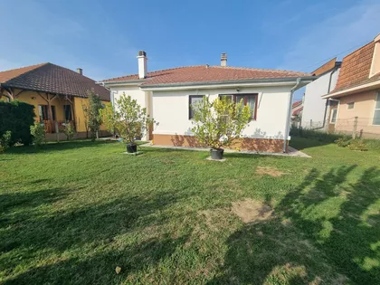 Mande Sudarević | 4zida.rs