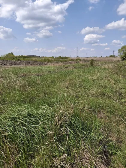 Save Kovačevića | 4zida.rs