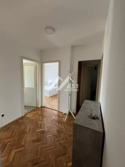Miše Dimitrijevića | 4zida.rs