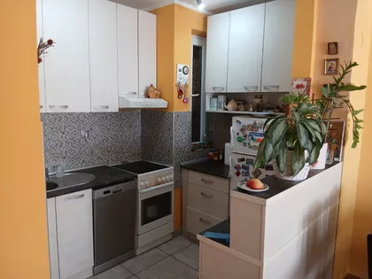 Nova Detelinara | 4zida.rs