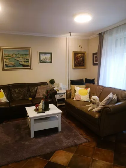 Novi Sad - Centar | 4zida.rs