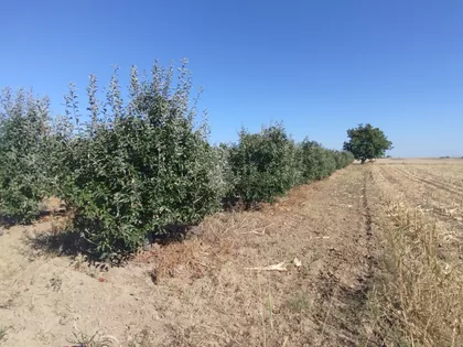 Vikend Naselje Mutalj bb | 4zida.rs