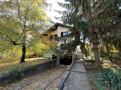 Momira Korunovića | 4zida.rs