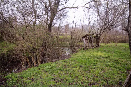 Vele polje | 4zida.rs