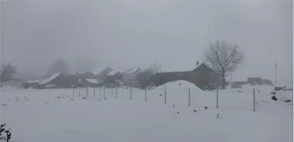 Lotosa 64 | 4zida.rs