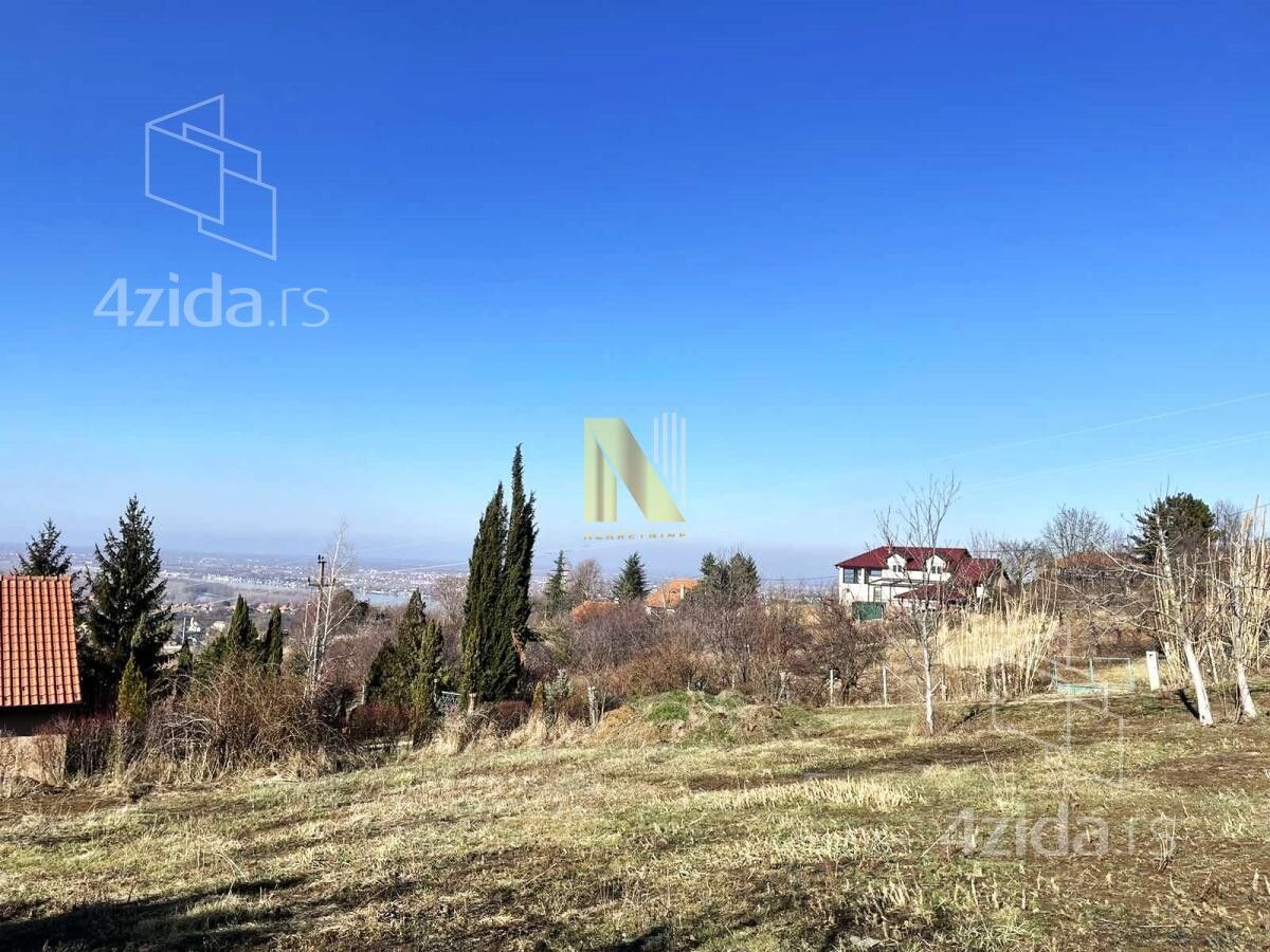 Bocke — fotografija