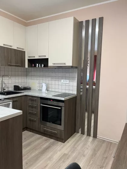 Janka Čmelika | 4zida.rs